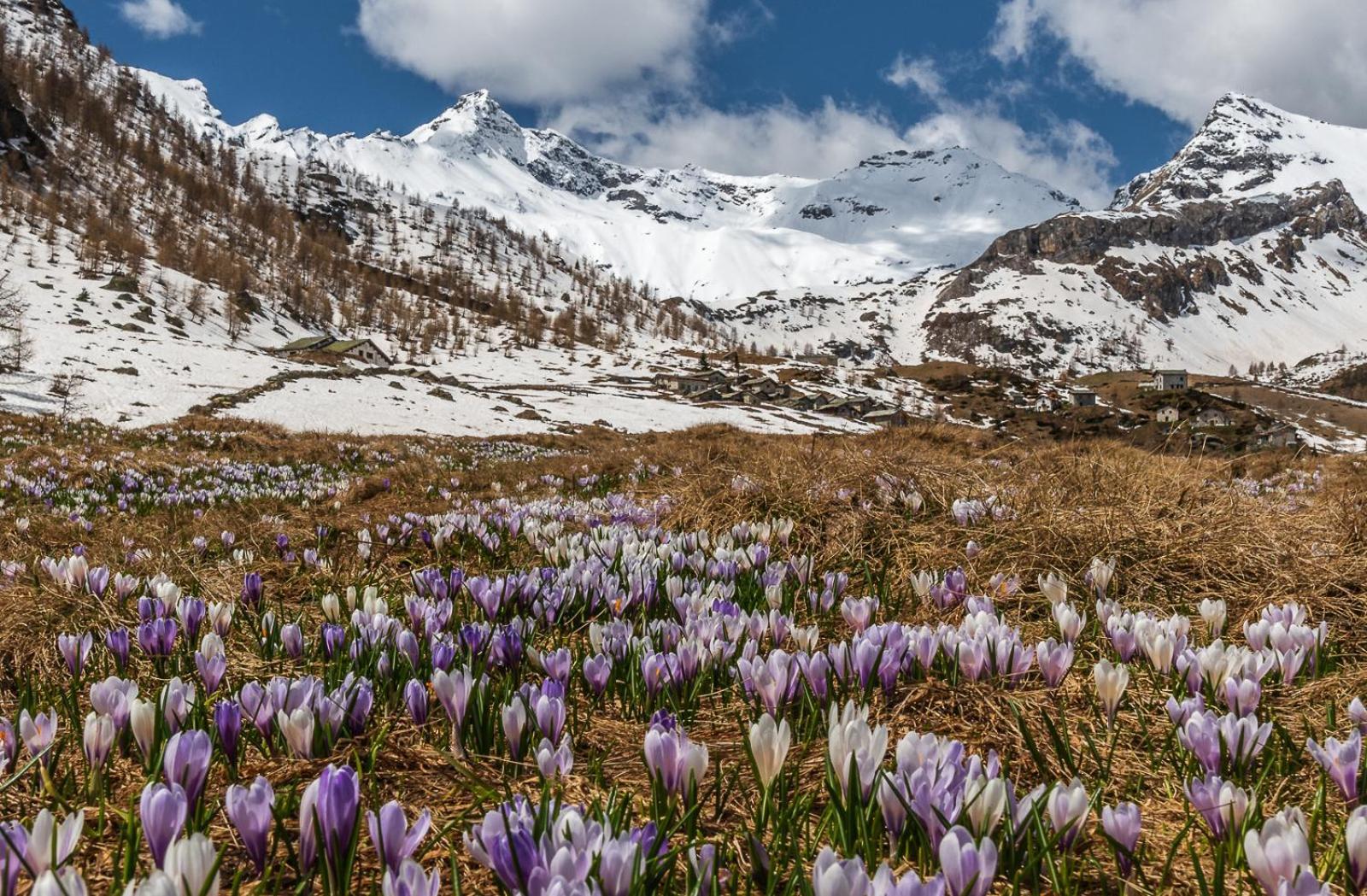 Belcolle, Il Bello Della Tranquillita Chiavenna Exteriör bild